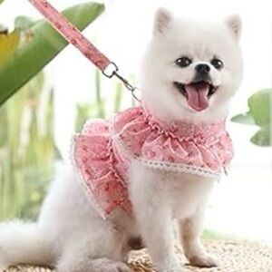 2pc Floral Ruffled Dress Harness for Dogs Or Cats
